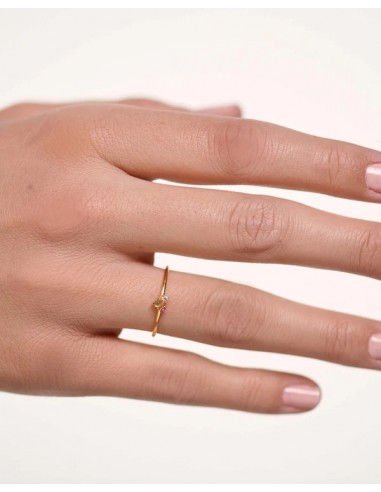 Δαχτυλίδι PDPaola Rose