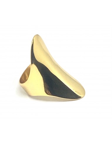 Δαχτυλίδι πλατύ 925 επιχρυσωμένο Ano