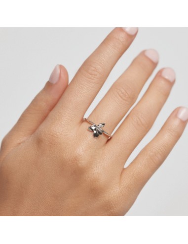 Δαχτυλίδι PDPaola Narcise -επιπλατινωμένο