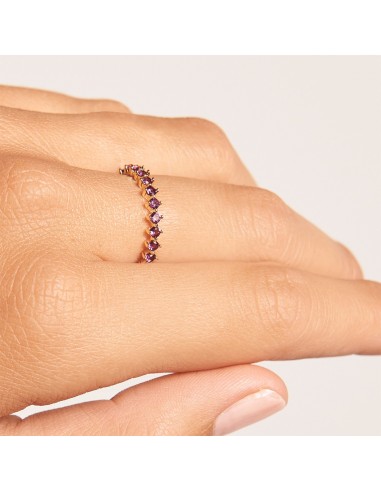 Δαχτυλίδι PDPaola Violet bird Ασημένιο επιχρυσωμένο