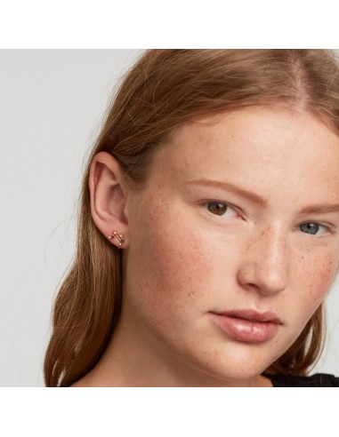 Ζώδιο Δίδυμοι PDPaola