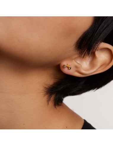 Σκουλαρίκια ασημένια Pdppaola Flora Gold