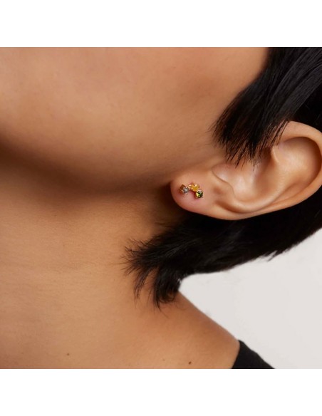 Σκουλαρίκια ασημένια Pdppaola Flora Gold